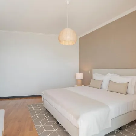 Rodamar Ii By An Island * Funchal